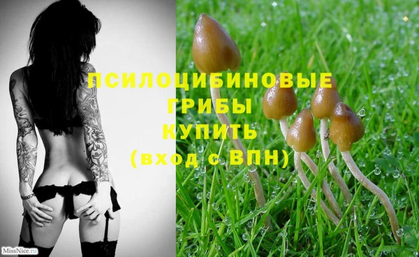 spice Волоколамск