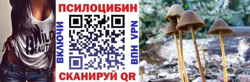 Псилоцибиновые грибы прущие грибы  Купить где  Козловка 